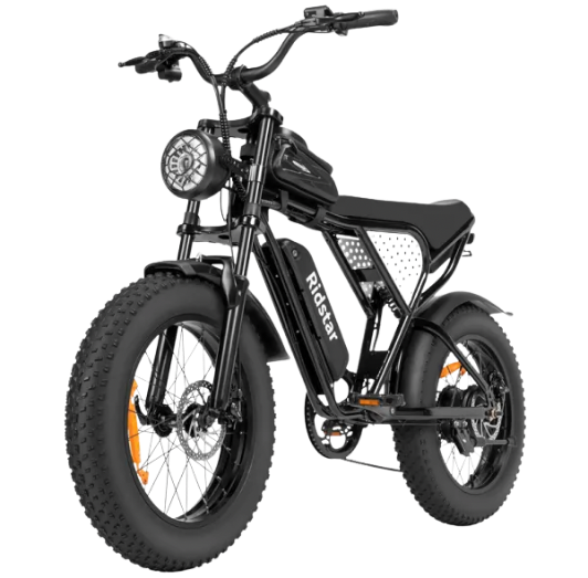 Budget OEM Electric Bike (Limited Supply)